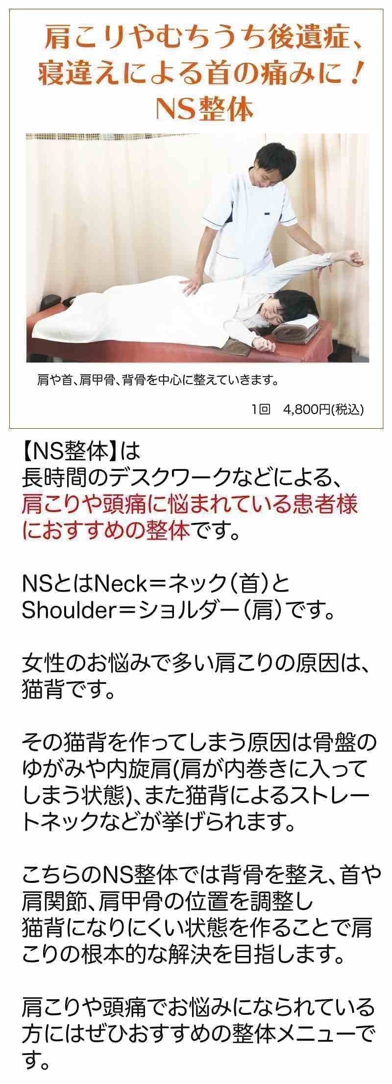 NS整体